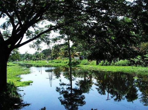 allepey backwaters