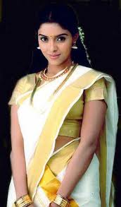 Asin-Thottumkal-4.jpg