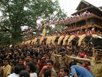 Thrissur pooram elephants.jpg