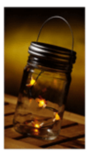 fireflies in a jar