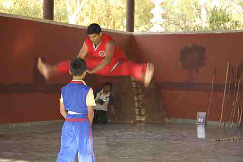 Kalari Champion KRISHNA PRATHAP